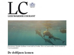 lcthumbnail